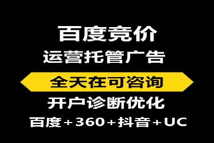 行业领先！专业SEM托管的成功实践案例